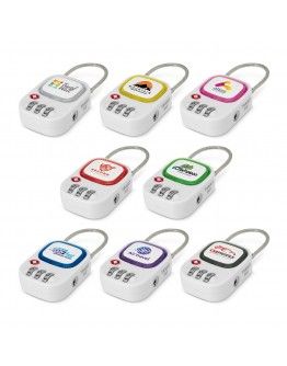 Travel Locks